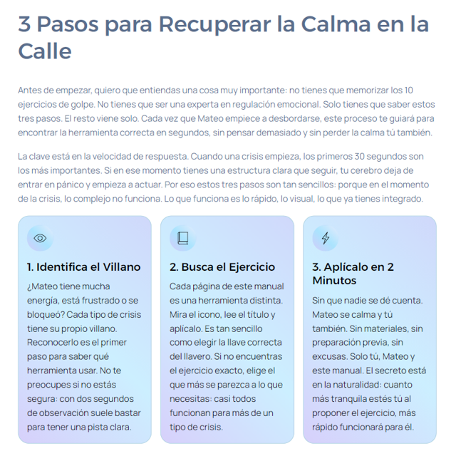 EBOOK BOLSILLO POR DENTRO